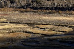 drought dry wetland